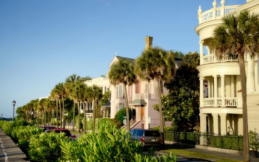 charleston street with old homes