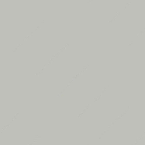 Pale Gray 650 (Gris Nube)