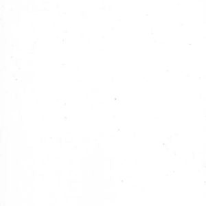 Swiss Coffee (White)