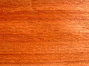 Padauk